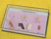家蠶生活史標本