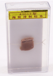 ?？麡?biāo)本